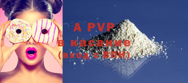 дурь Грязовец