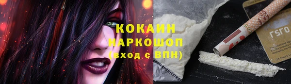 молекула духа Новосибирск