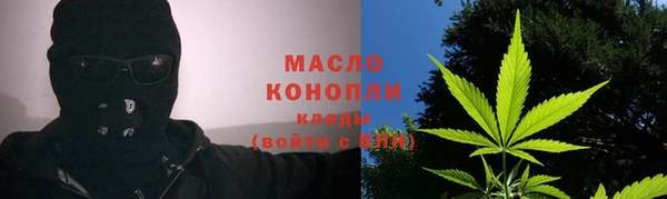 молекула духа Новосибирск